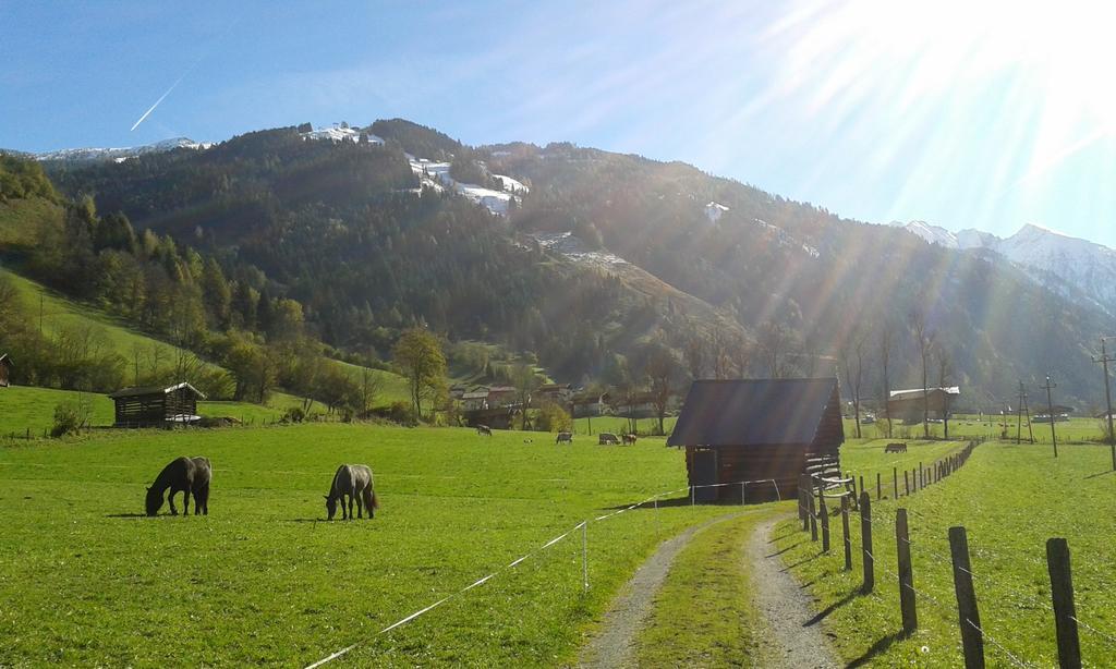 Haus Fankhauser Apartment Dorfgastein Luaran gambar